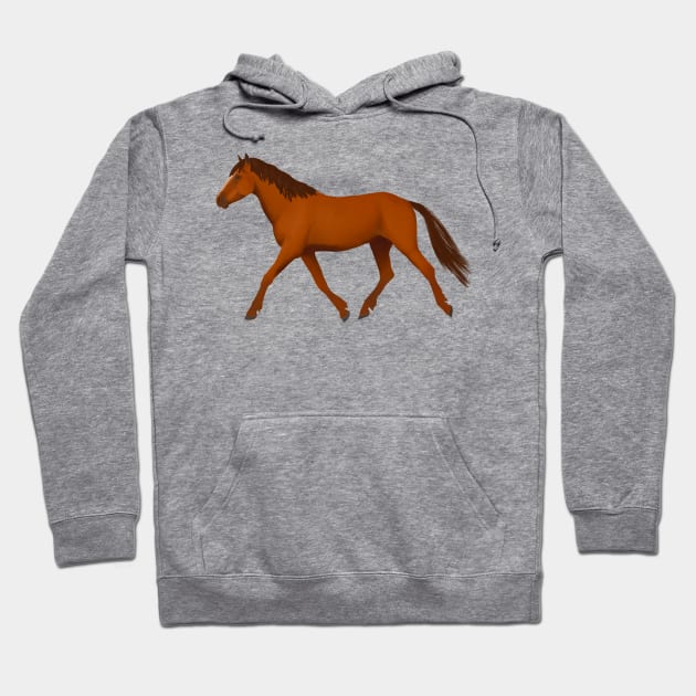 Chestnut horse Hoodie by Shyflyer